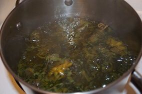 léčba křečových žil pomocí odvarů